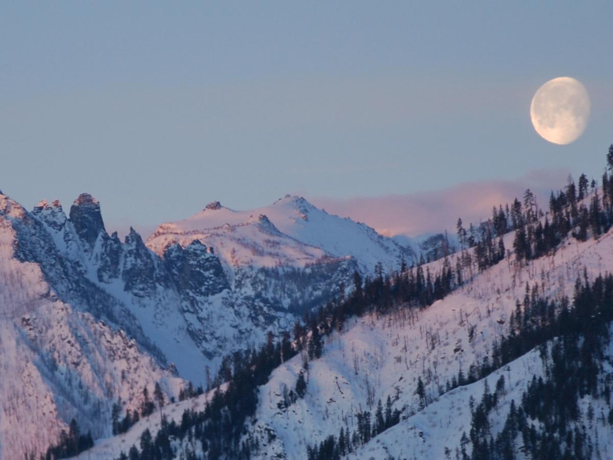 Cashmere Mountain Bed & Breakfast (Adults Only)レブンワース エクステリア 写真